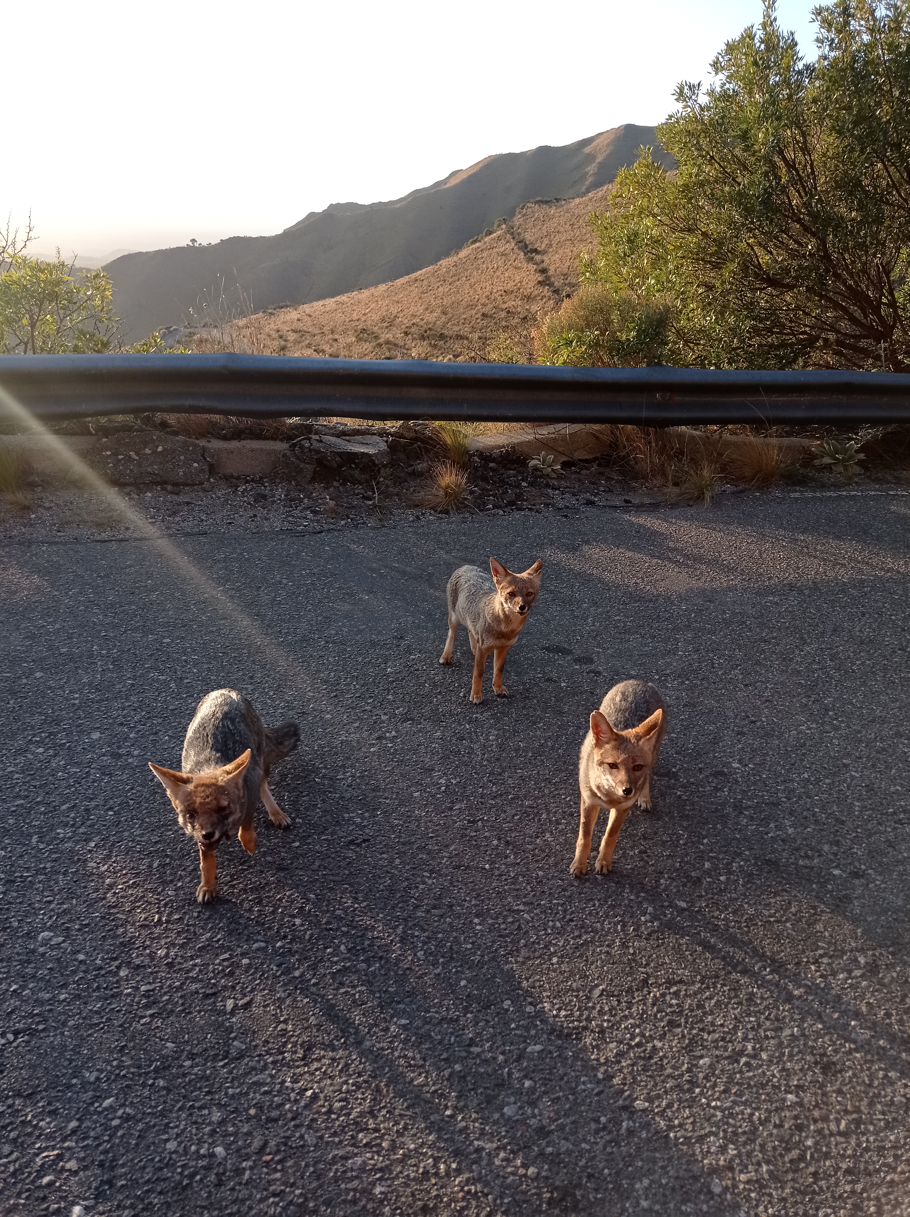 Foto del valle y del mirador 17